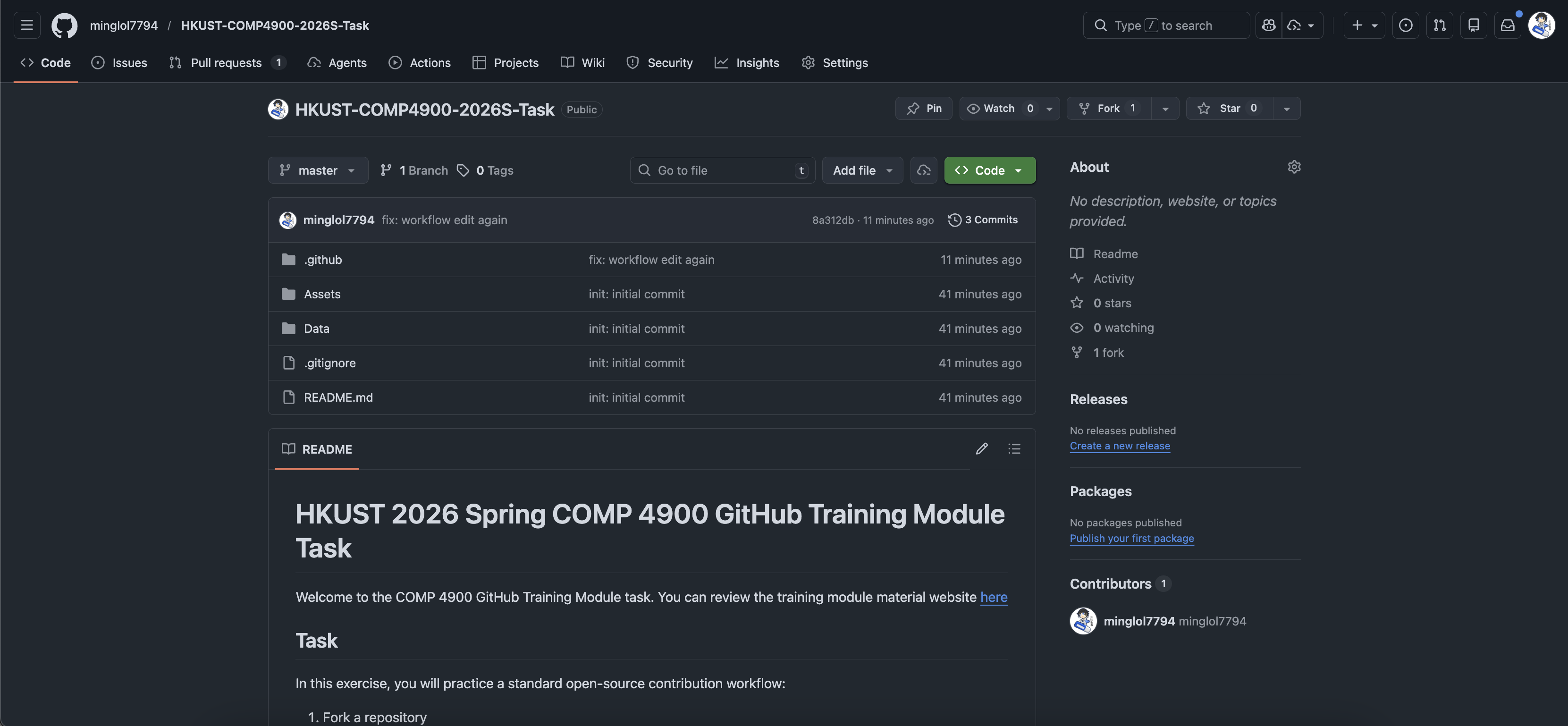 Workshop repository task overview